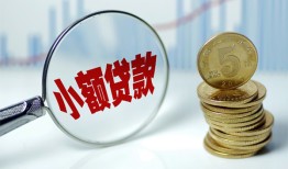 成都22哪里可以小额贷款-成都22哪里有民间借贷-成都22民间短期私借借款